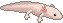 chupa