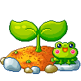 chupa
