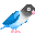 chupa