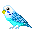 chupa