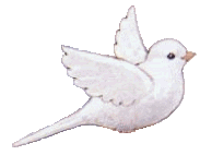 chupa