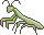 chupa