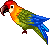 chupa