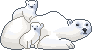 chupa