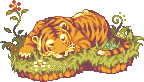 chupa