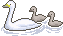 chupa